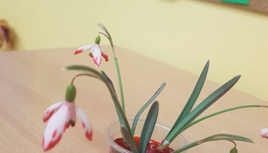 ”Kastanīšos” pavasaris sācies ar eksperimentu