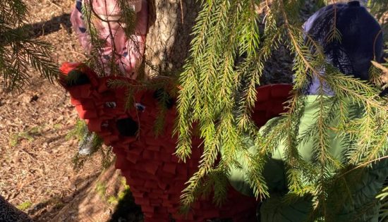 Meža dienas aktivitātes