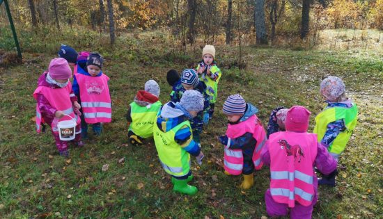 Kas tur mežā rosās? Kas vāc kastaņus, zīles un čiekurus? Lācīši!