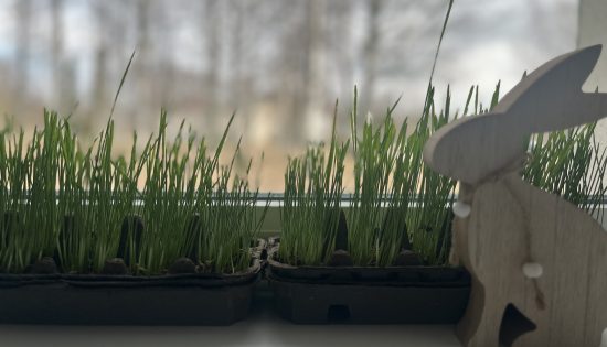 Darba laiks svētku laikā