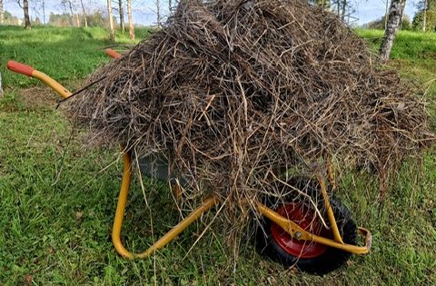 Rudens klāt – laiks padomāt par nākamo ražu!