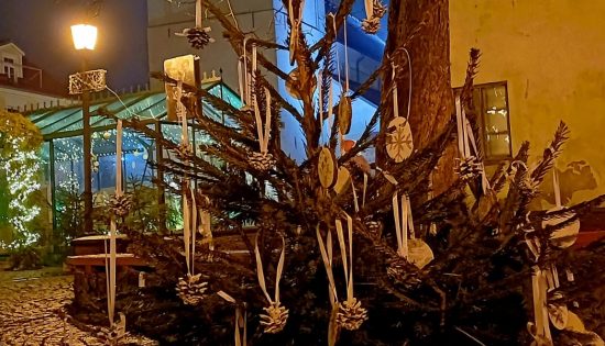 Dalība akcijā “Eglīšu aleja”