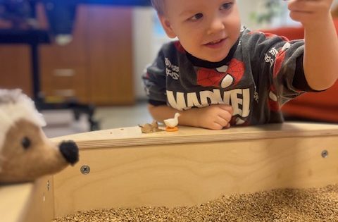 Laimes bļoda – silto graudu iekārta attīstošām nodarbībām